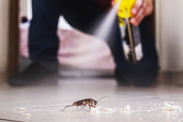 Best Affordable Pest Control Services  in Venus, TX