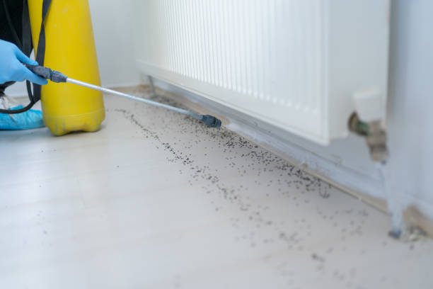 Best Emergency Pest Control  in Venus, TX