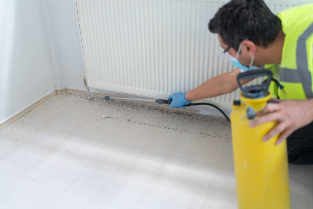 Best Mosquito Control Services  in Venus, TX